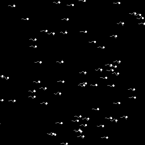 reproductive health animated